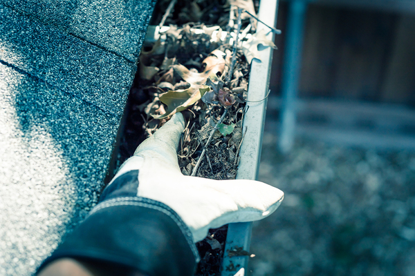 Cleaning out leaf filled gutters.