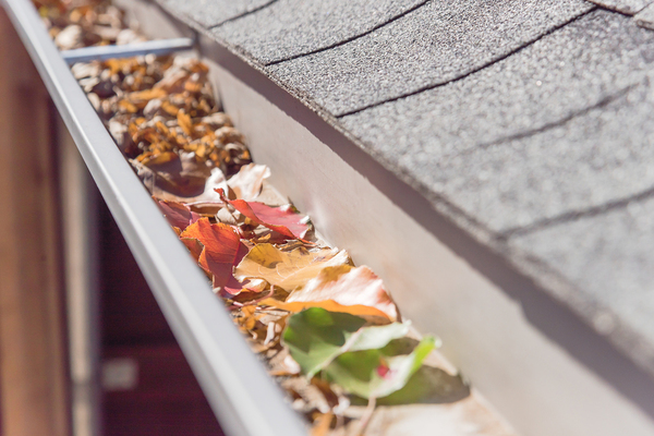 Gutter filled with leaves.