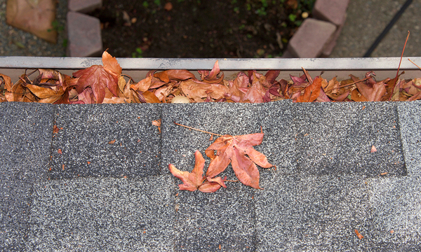 Gutter filled with leaves.