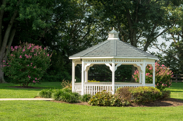 White gazebo with trees and shrubs in the background.