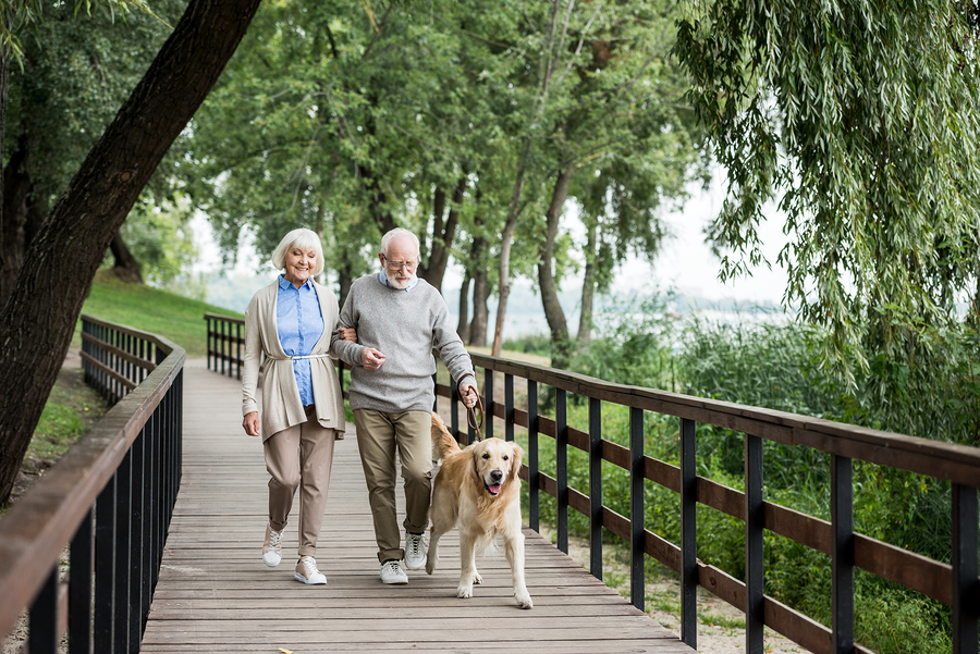 Daily walks help reduce ED risk