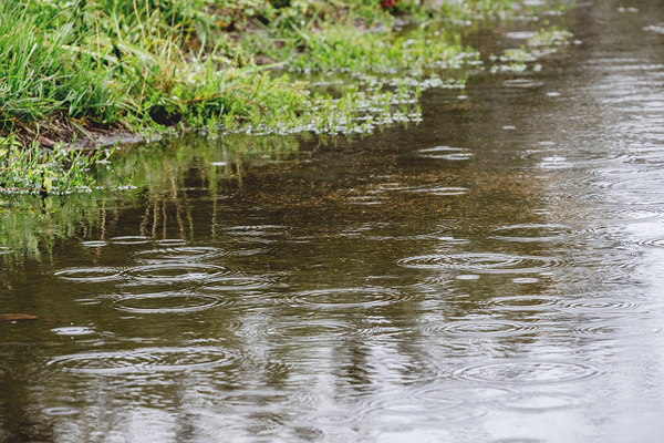 River with rain drops.