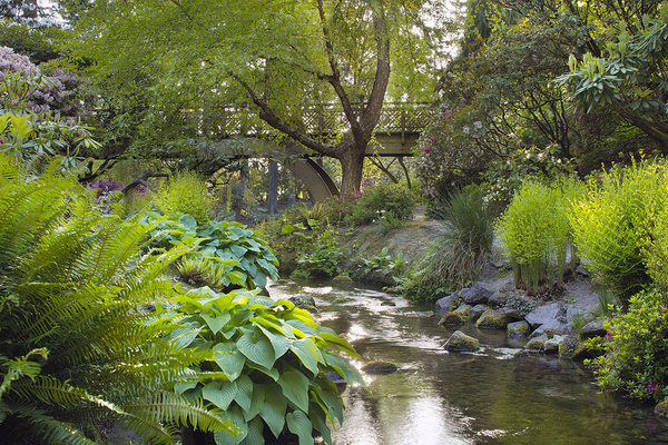 River with bridge.
