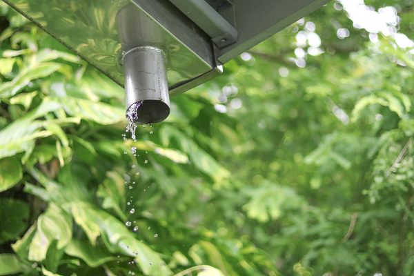 Downspout.