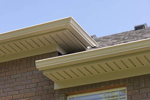 Gutters on the side of a home.