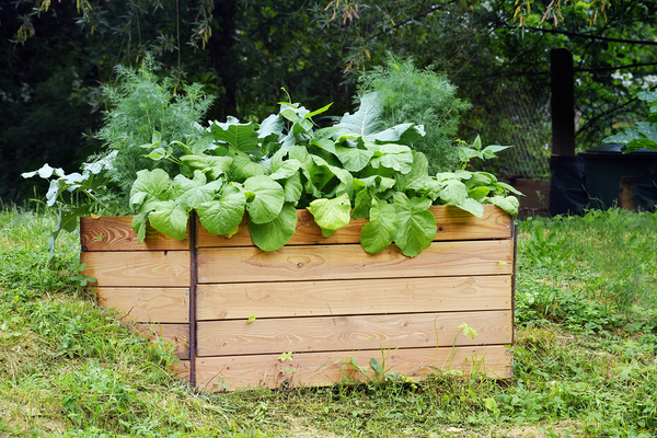 Wooden flower box filled with plants.