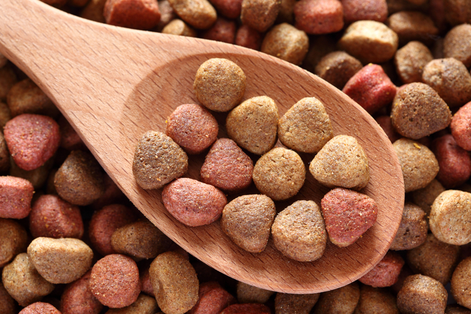 high taurine dog food