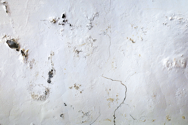 Wall with mold and cracks present.