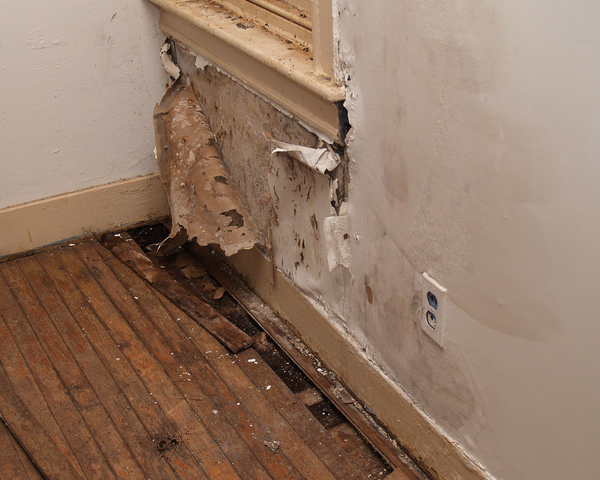 Home inspectors
