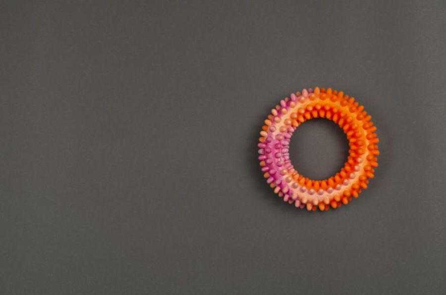 Penis ring.