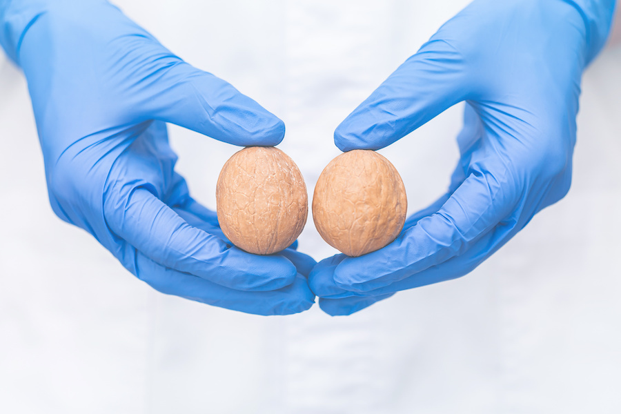 Holding two walnuts.
