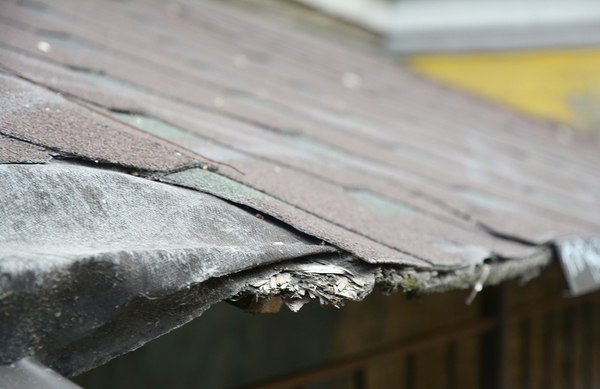 Damaged shingles on a roof.