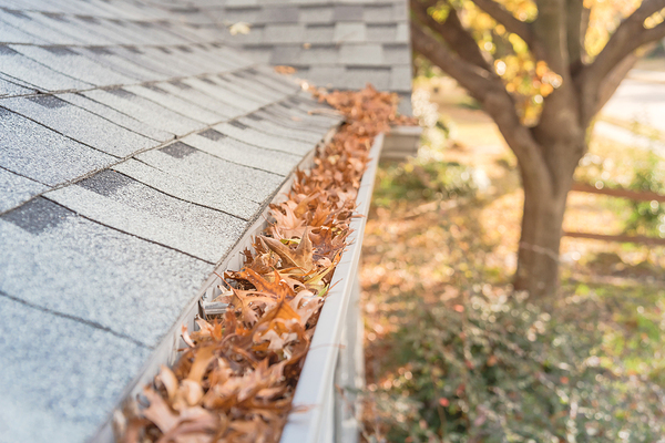 Gutter filled with leaves.