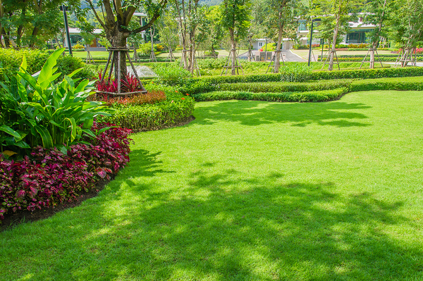 Beautiful green lawn with bushes and flowers bordering the edge.