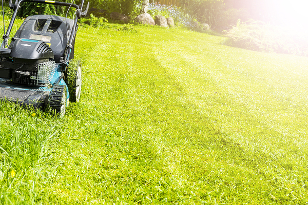 Person pushing a lawnmower.