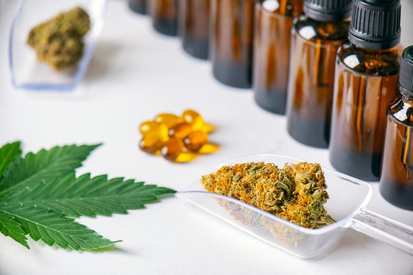 Cannabis leaf, buds, and oil.