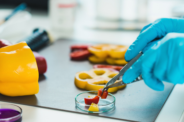 Person cutting up a yellow bell pepper and placing in a glass dish.