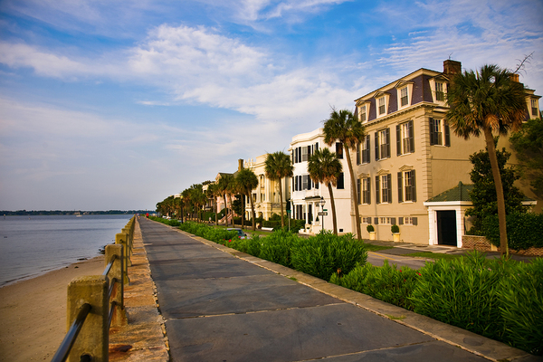 Seaside houses with palm trees.