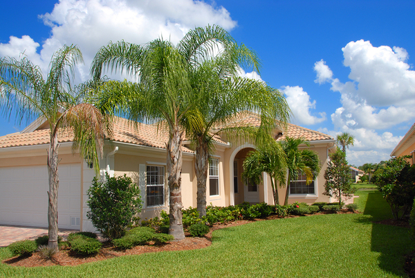 House with green lawn and palm trees.