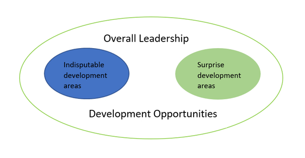 leadership development opportunities