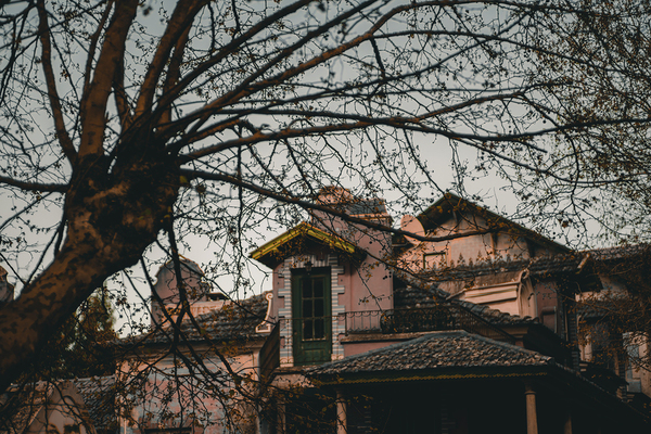 Home with large tree.