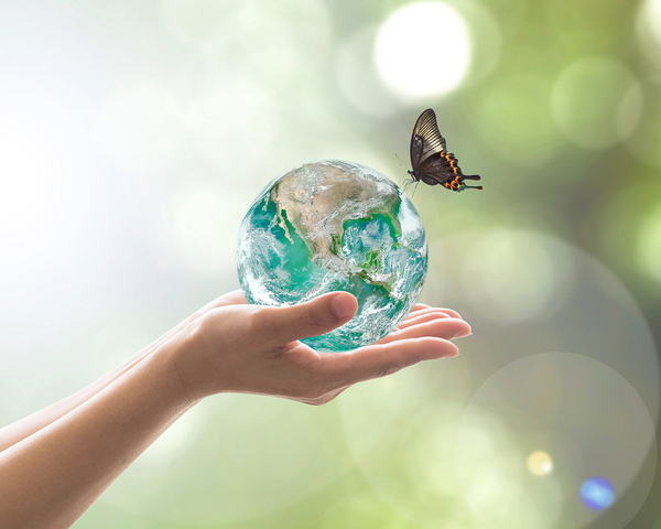 Glass globe in hands with butterfly on top.