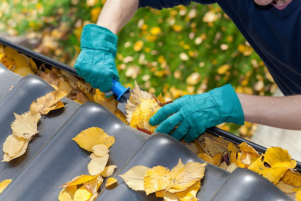 Person removing leaves from a gutter.
