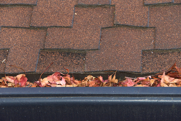 Roof tiles and a gutter filled with leaves.