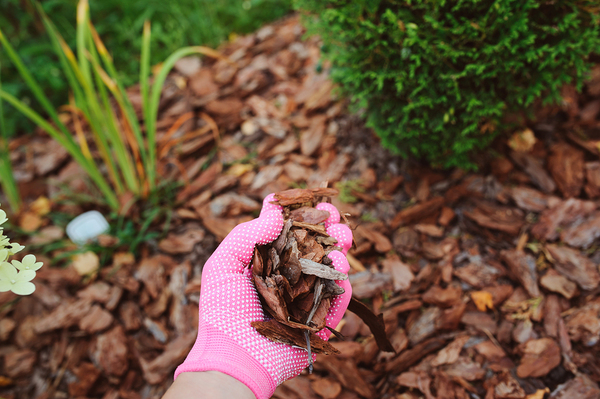 Person picking up leaves.