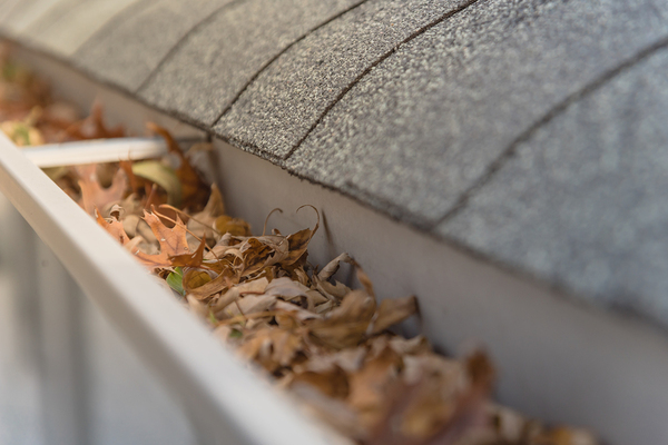 Gutter filled with leaves.