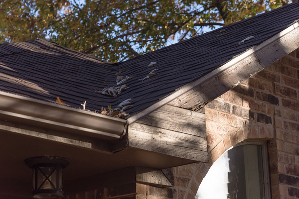 Roof with tan colored gutters.