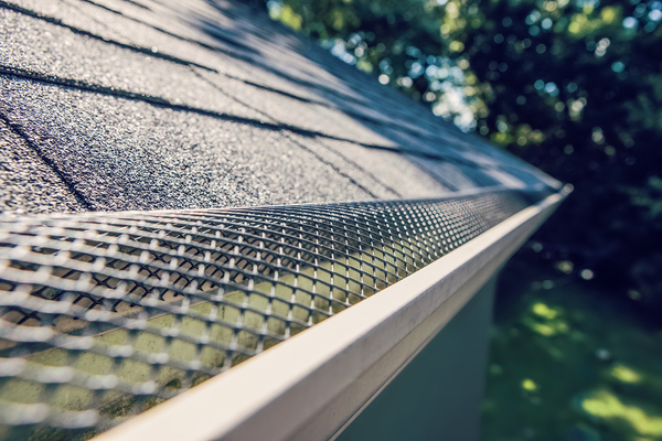 Mesh covered gutters.