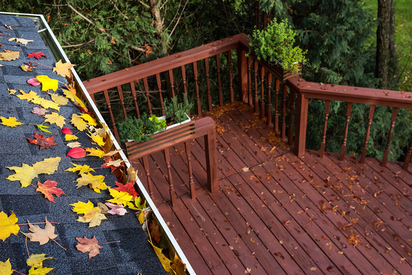 Roof with leaves.