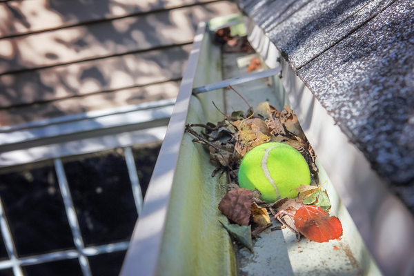 Gutters filled with leaves and a tennis ball.