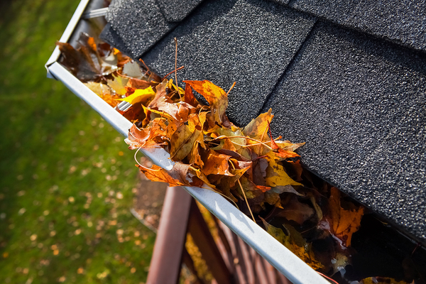 Gutter filled with leaves.