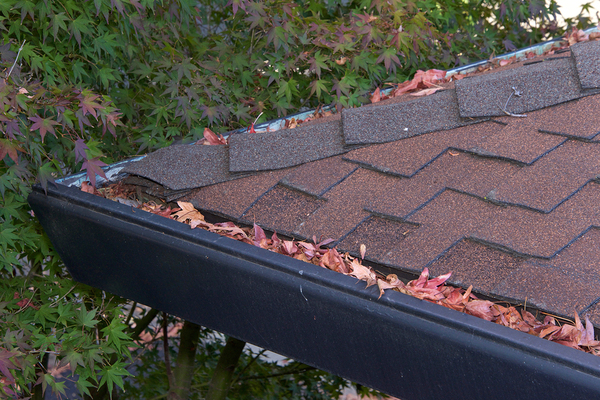 Corner of a roof with black gutters that are filled with leaves.