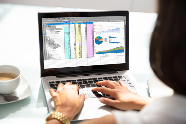 Excel spreadsheet on display.