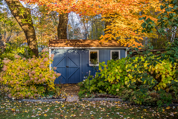 Shed surrounded by trees and shrubs.