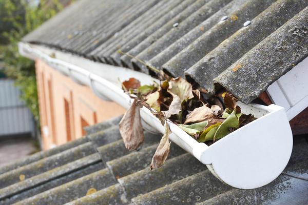 Gutters filled with leaves.