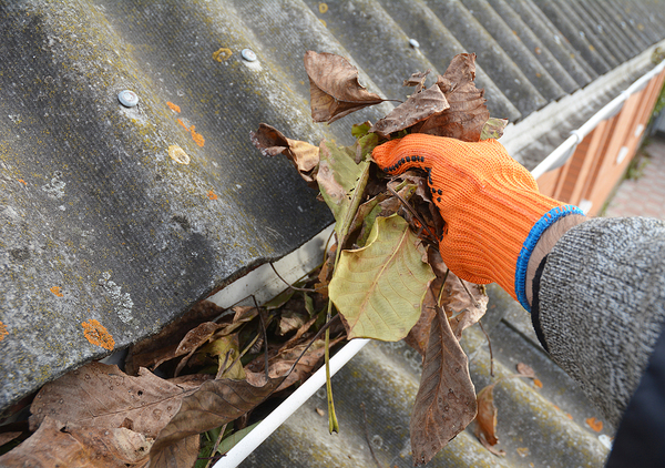 Person cleaning out gutters.