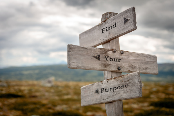 find your purpose