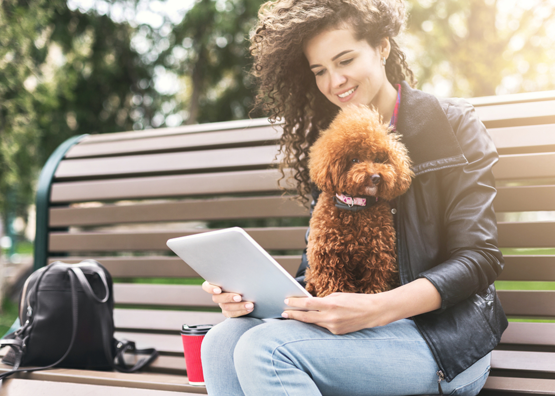 Woman sitting on a park bench with her dog and looking at her tablet.