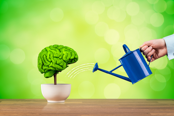 La verdadera diferencia entre creatividad e innovación - Regar una planta con forma de cerebro humano.