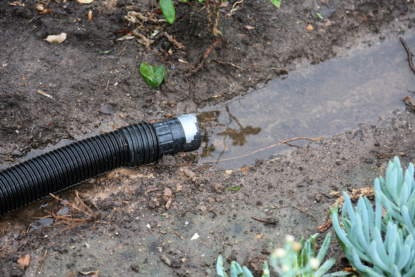 Drain pipe with puddle.