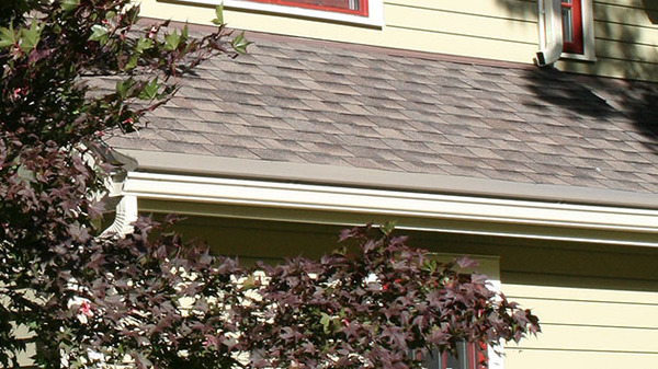Shingles on a roof with gutters.