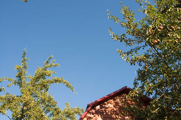 Exterior home improvement Exterior home improvement