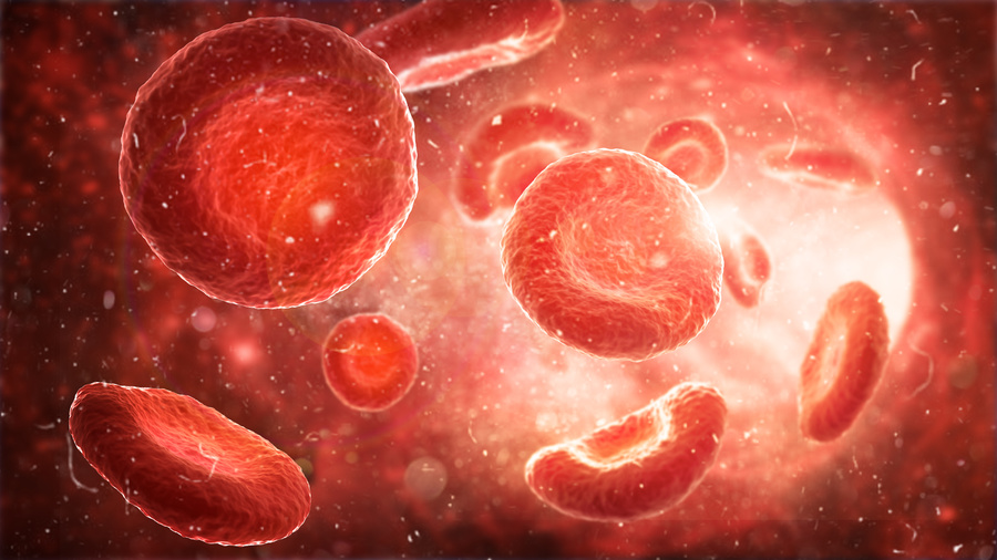 Blood cells.
