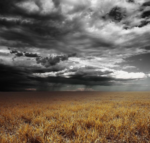 Field with dark clouds.