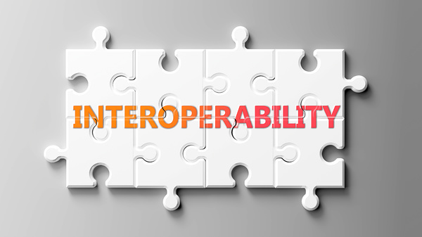 Data Interoperability