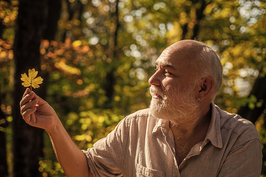 Holding a fallen leaf.